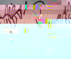 moustique.JPG