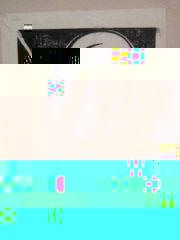 beau.jpg