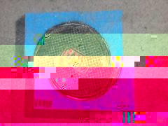 disque.jpg, août 2011 disque.jpg