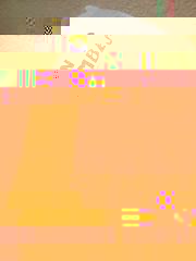 face.jpg