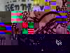 rien.jpg