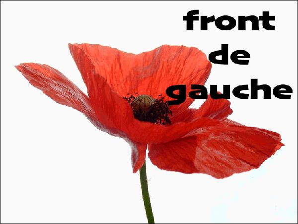 coquelicot-fdg.jpg