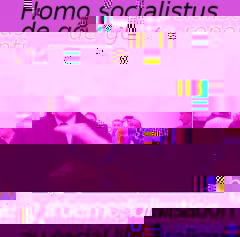 homosocialistusdegoche.jpg