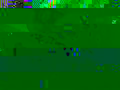 vomi.jpg