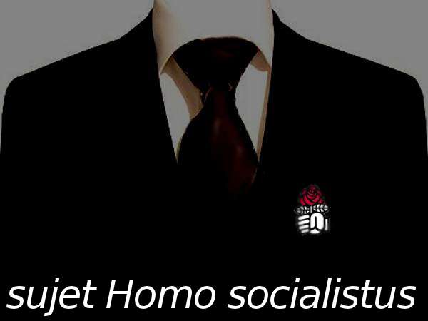 homosocialistus.jpg