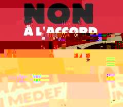 ani.JPG
