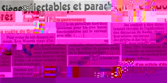 extrait_canard_enchaine.jpg