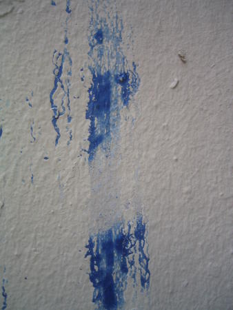 bleu.jpg