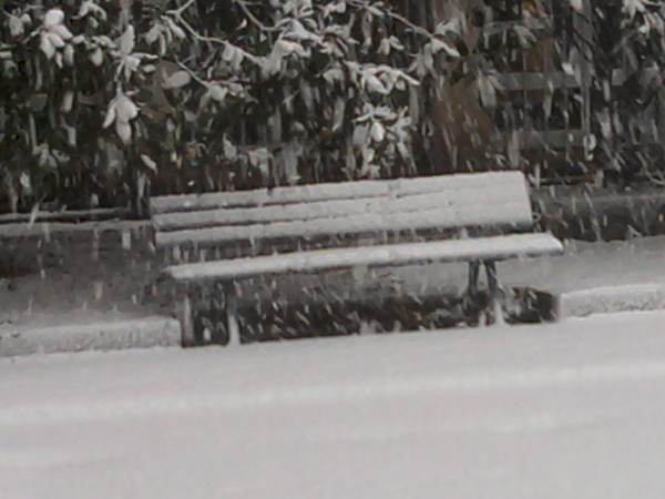 paris_neige.jpg